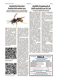 Hegau Kurier